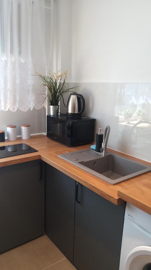 Apartament Wika Varşova Dış mekan fotoğraf